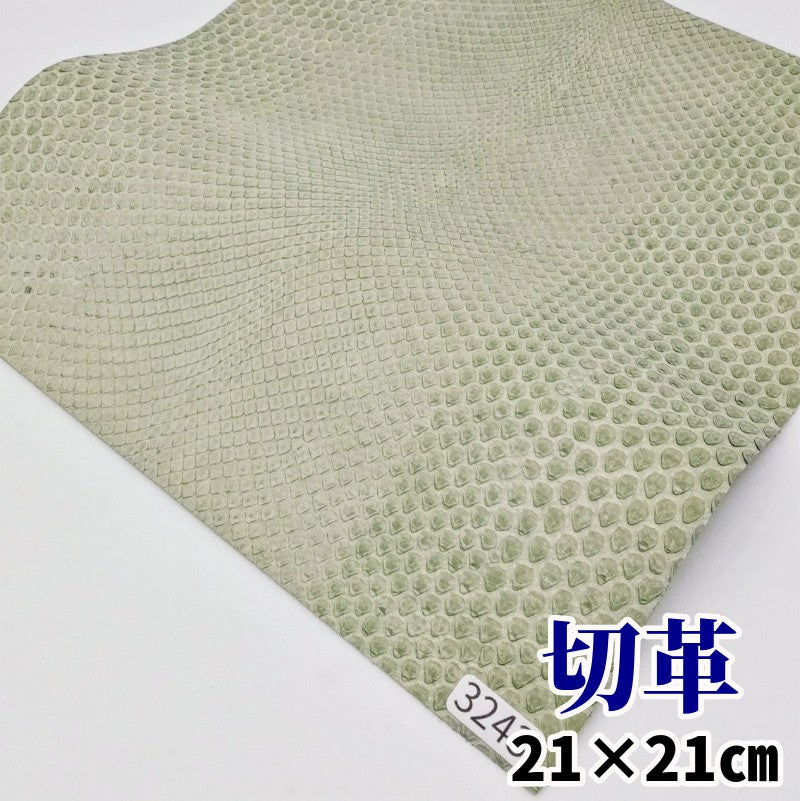 蛇革　素材