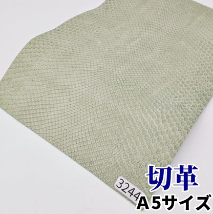 蛇　革素材
