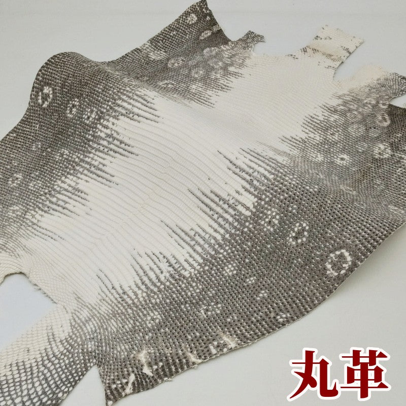蜥蜴　革素材