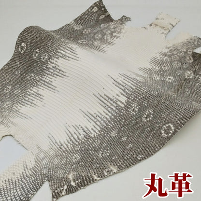 蜥蜴　革素材