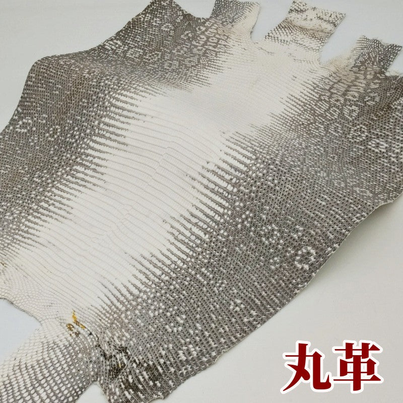 蜥蜴　革素材