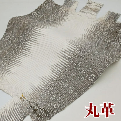 蜥蜴　革素材