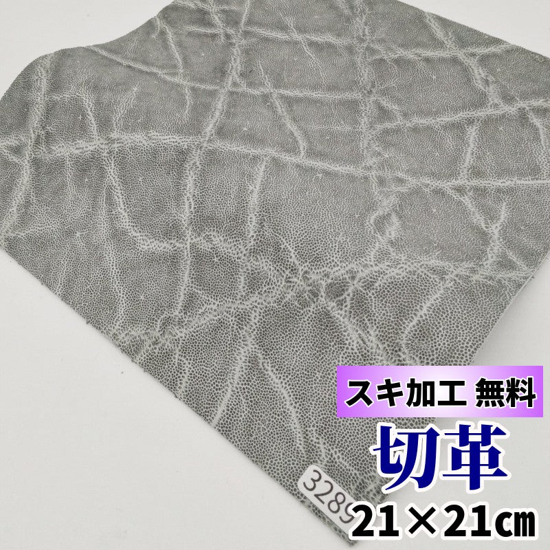 レア品種‼️コンキュサーレ 21×21cmサイズにカットされた革、エキゾチックレザー – レザーマニア