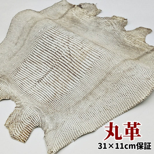蜥蜴　革素材