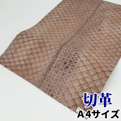 蛇革　素材