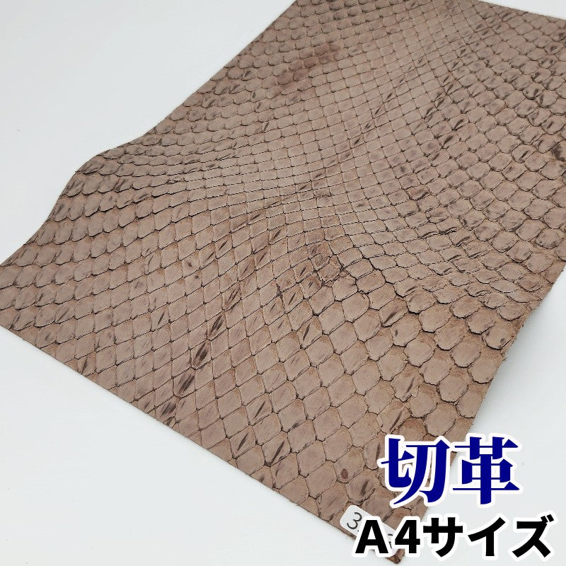 蛇革　素材