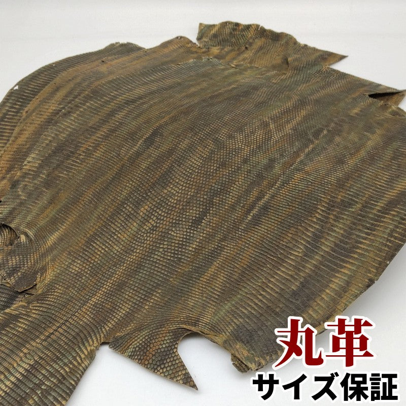 グリーン、緑色、オリーブ、green、カーキ系カラーの皮革素材 – レザー