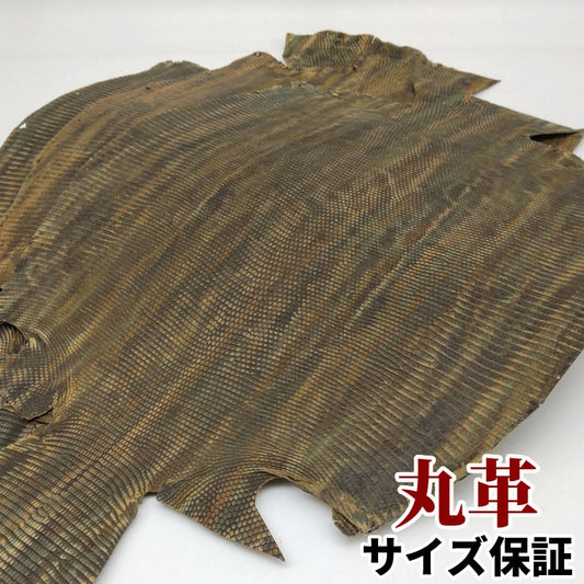 蜥蜴　革素材