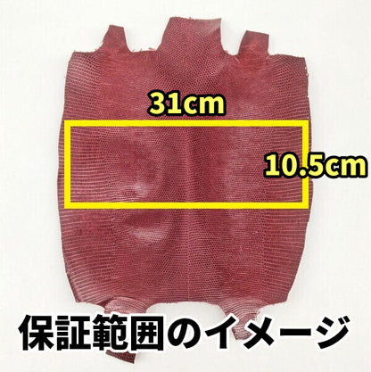 トカゲ革【最大幅32cm前後】橙&茶グラデーション/ツヤ強/腹割/t618