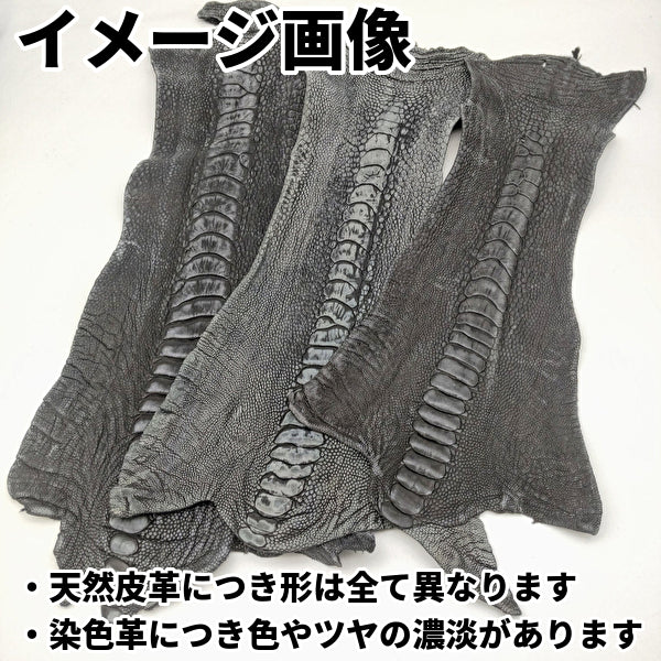 オーストレッグ革（Ostrich leg）の皮革素材を通信販売 – レザーマニア