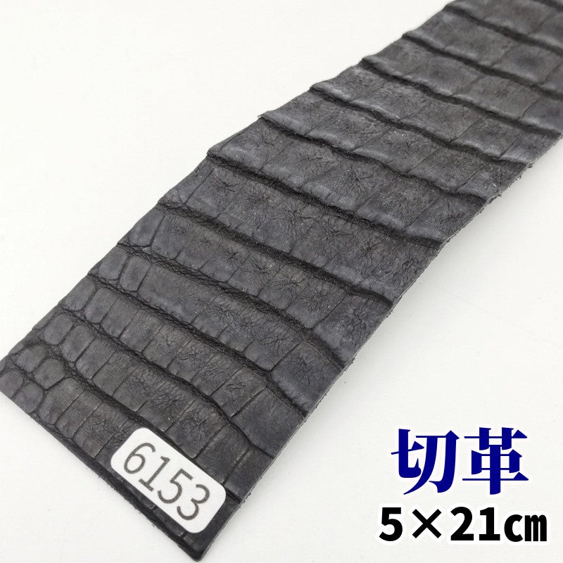 5×21cmサイズにカットされた革、エキゾチックレザー – レザーマニア