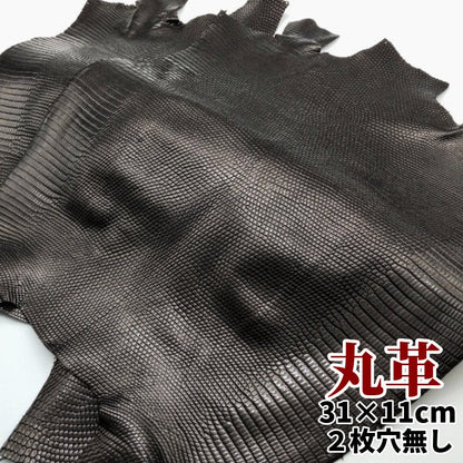 蜥蜴　革素材
