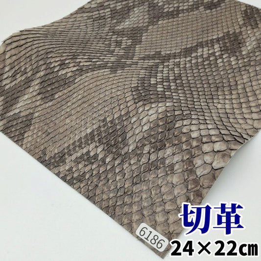 蛇　革素材