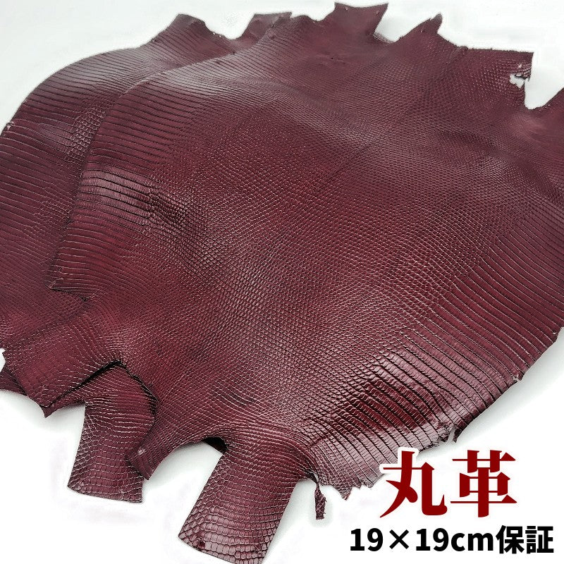 蜥蜴　革素材