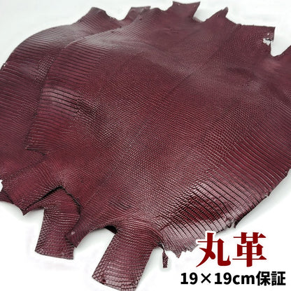 蜥蜴　革素材