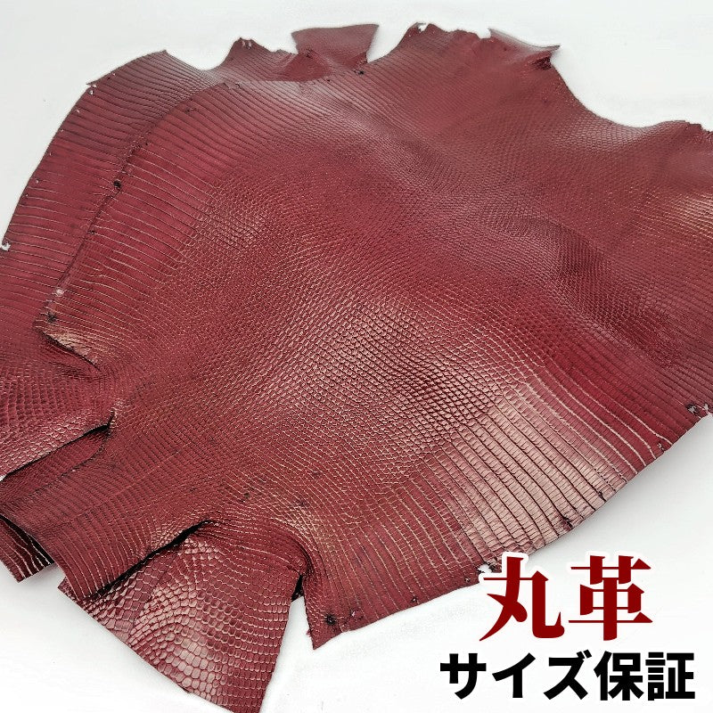 蜥蜴　革素材