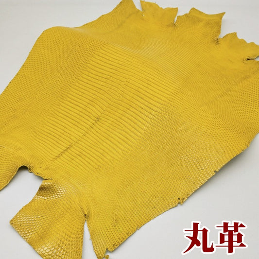 蜥蜴　革素材