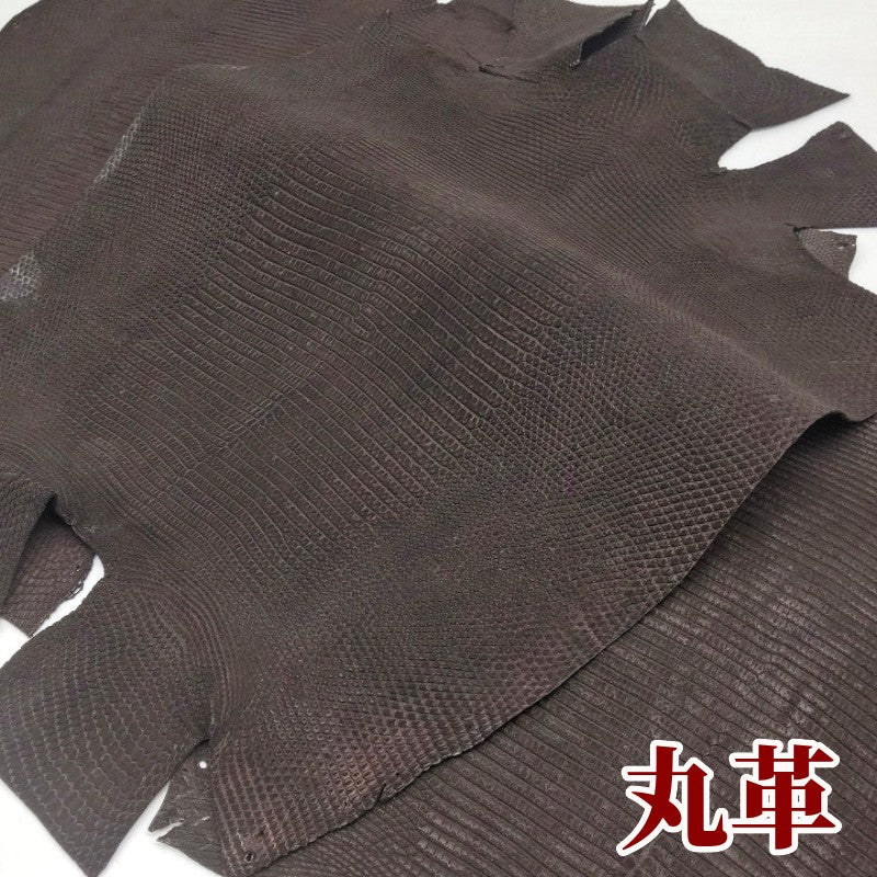 蜥蜴　革素材