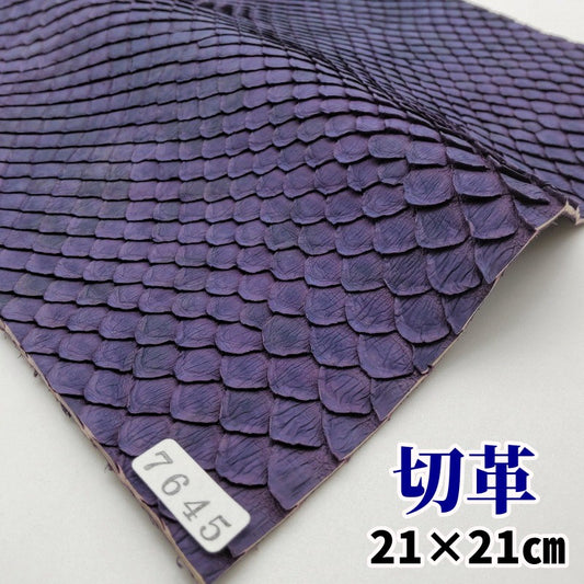 蛇　革素材