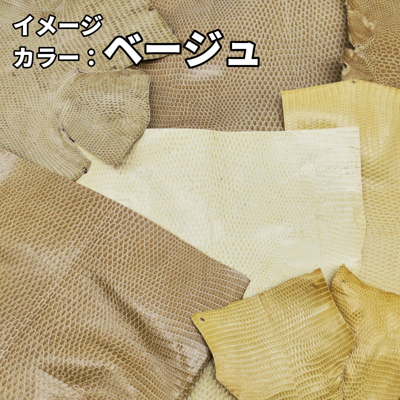 トカゲ革ハギレ【100g】全7種/99t