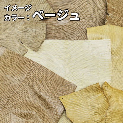 トカゲ革ハギレ【100g】全7種/99t