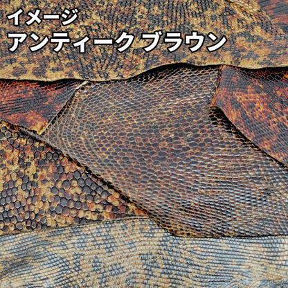 トカゲ革ハギレ【100g】全7種/99t