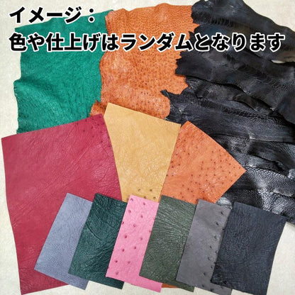 【福袋】オーストリッチ三昧21枚/送料無料/fb41d