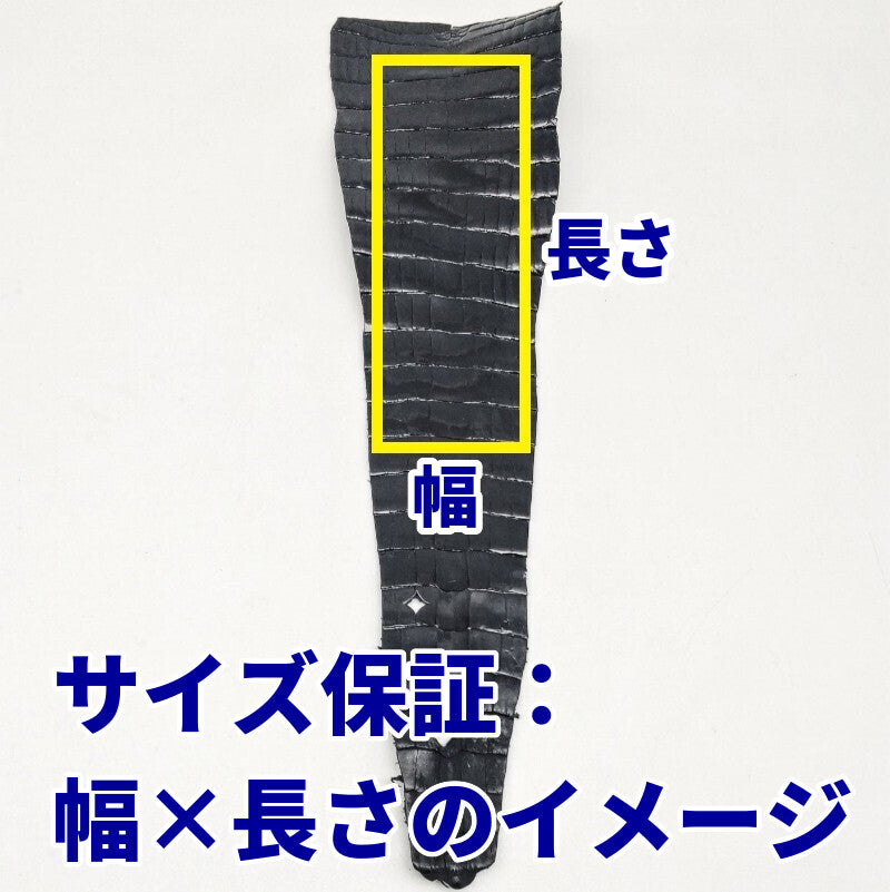 ワニ切革/クロコダイル/テール部分【サイズ保証】ブラック/マット/w910