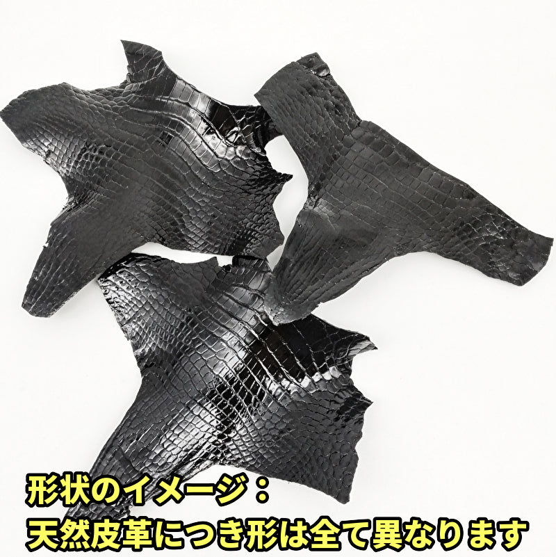 ワニ切革/クロコダイル/アゴ部分【サイズ保証】黒/ツヤ強/w886