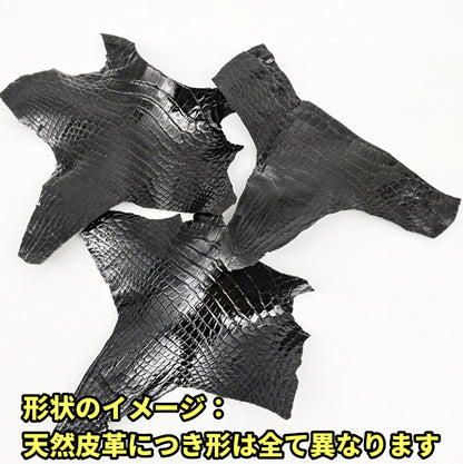 ワニ切革/クロコダイル/アゴ部分【サイズ保証】黒/ツヤ強/w886