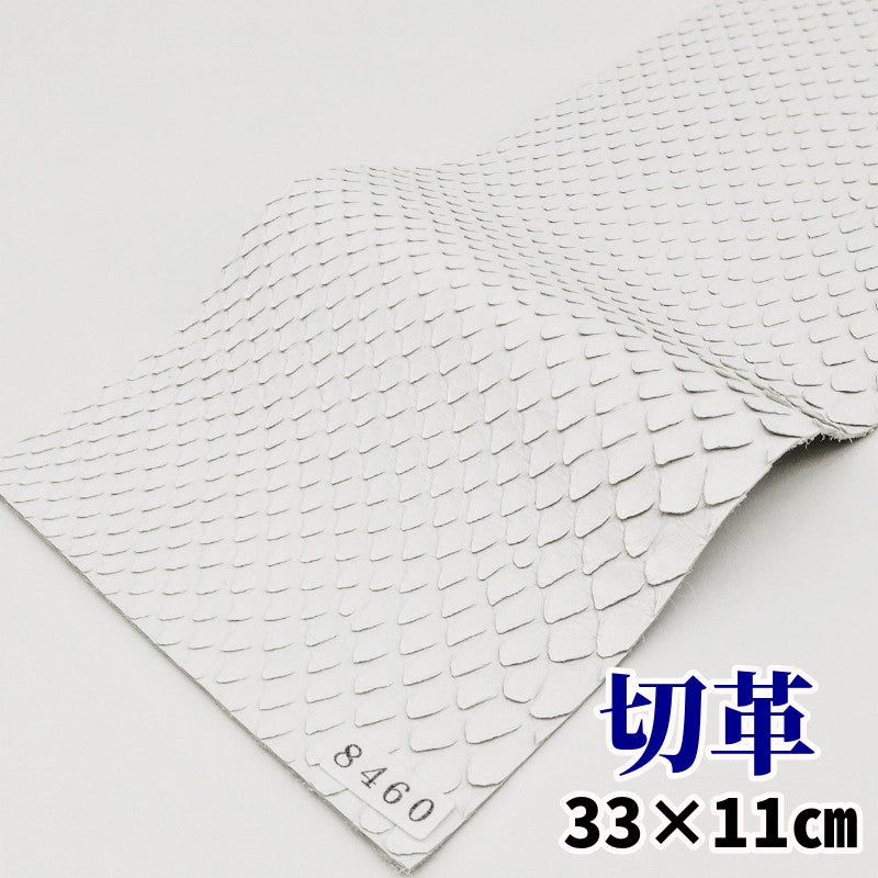 蛇　革素材