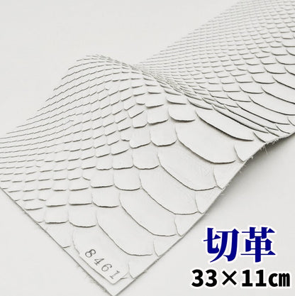 蛇　革素材
