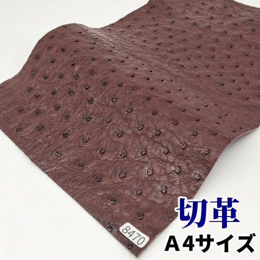駝鳥　革素材