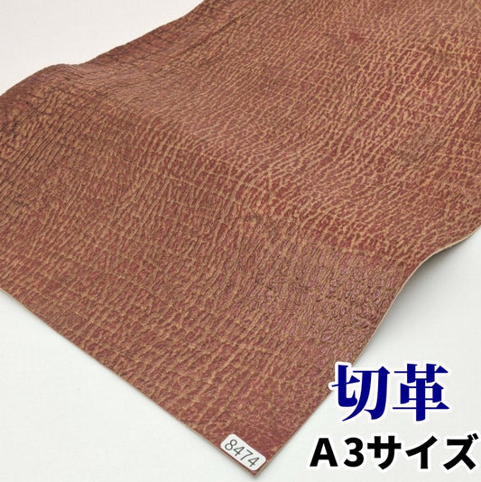 鮫　革素材