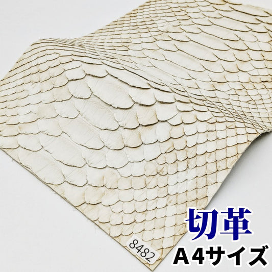 蛇　革素材