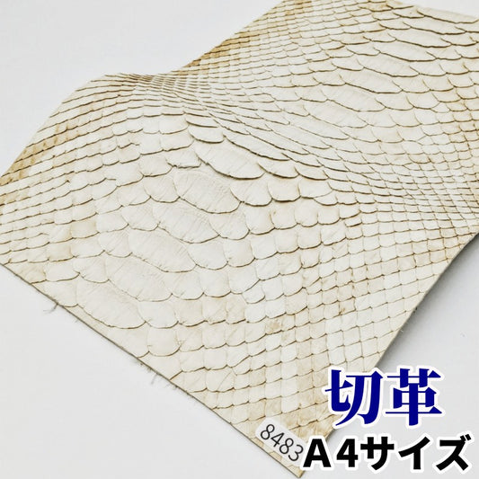 蛇　革素材