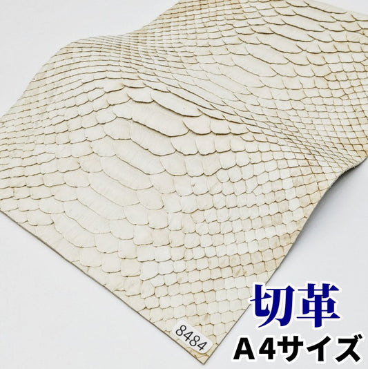 蛇　革素材