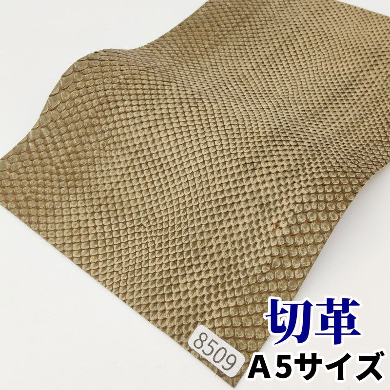 VEＲＡＰＥＬLＥ．イタリー本革，柔らかい素材です 8509.jpg?v=1752125814