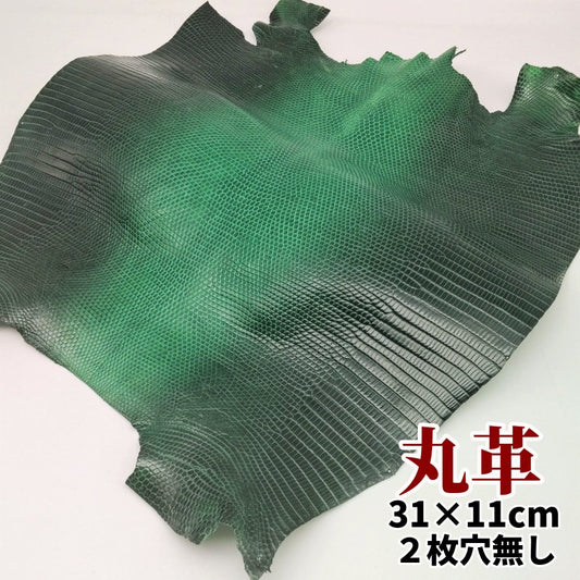 蜥蜴　革素材
