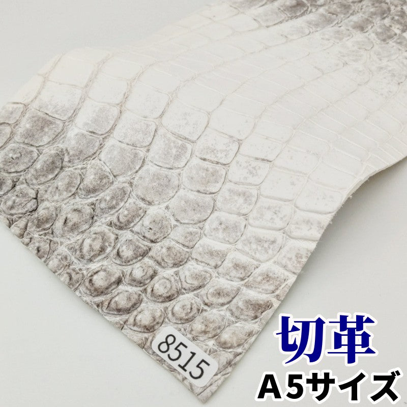 鰐　革素材