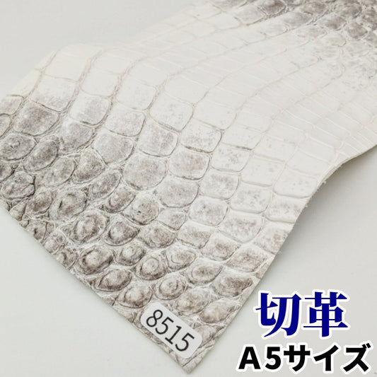 鰐　革素材