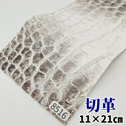 鰐　革素材