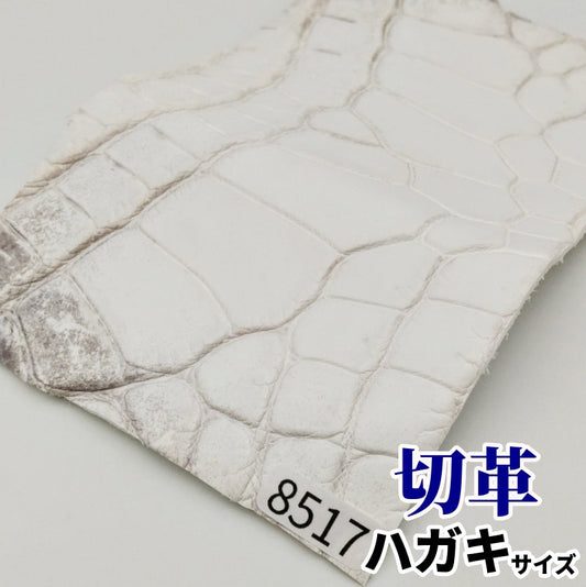 鰐　革素材