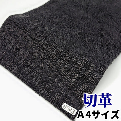 象　革素材