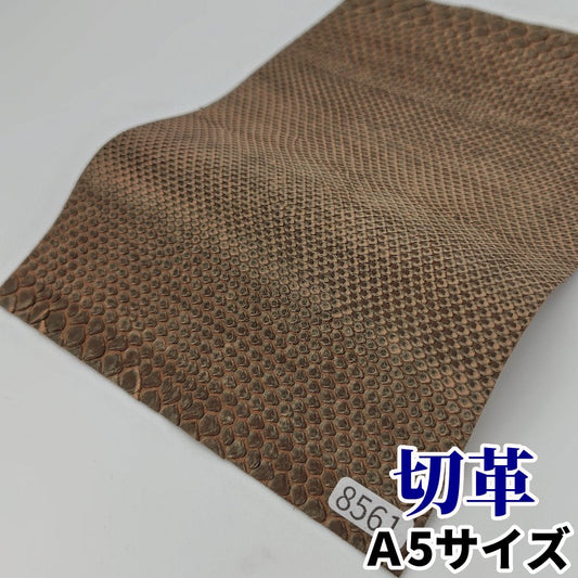 蛇革　素材