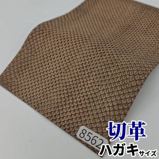 蛇　革素材