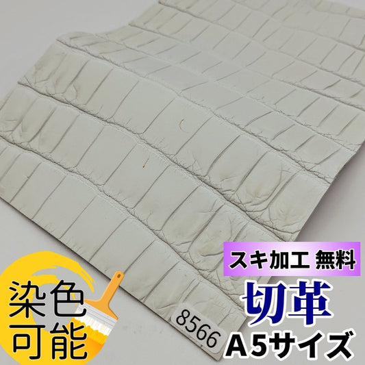 鰐　革素材