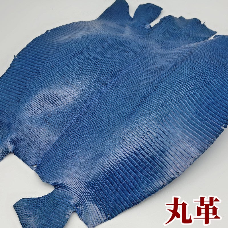 蜥蜴　革素材