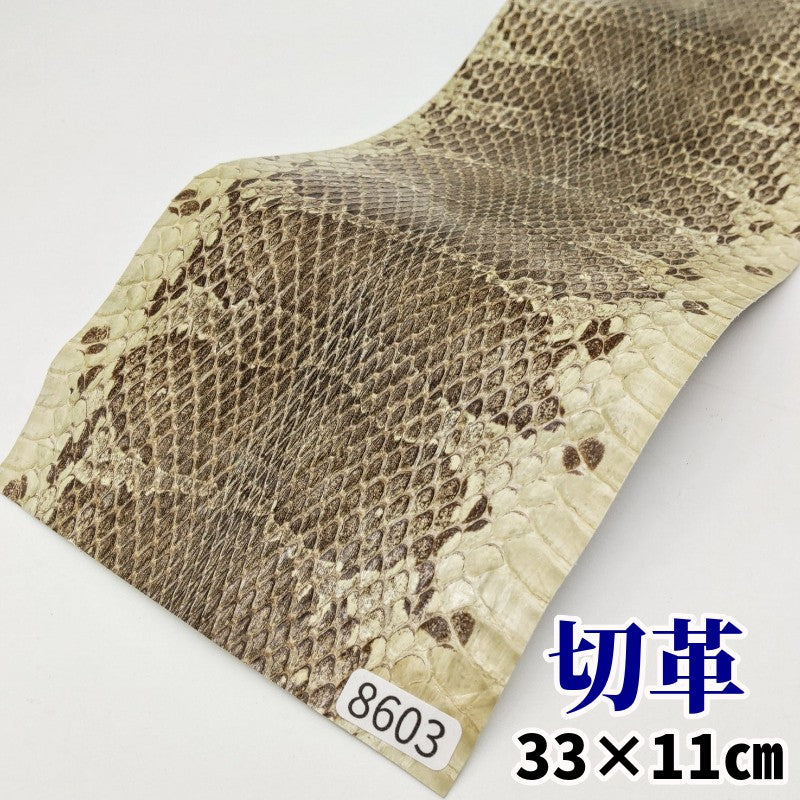 蛇革　素材