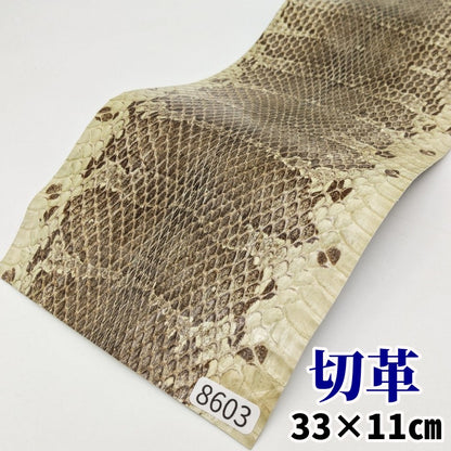 蛇革　素材